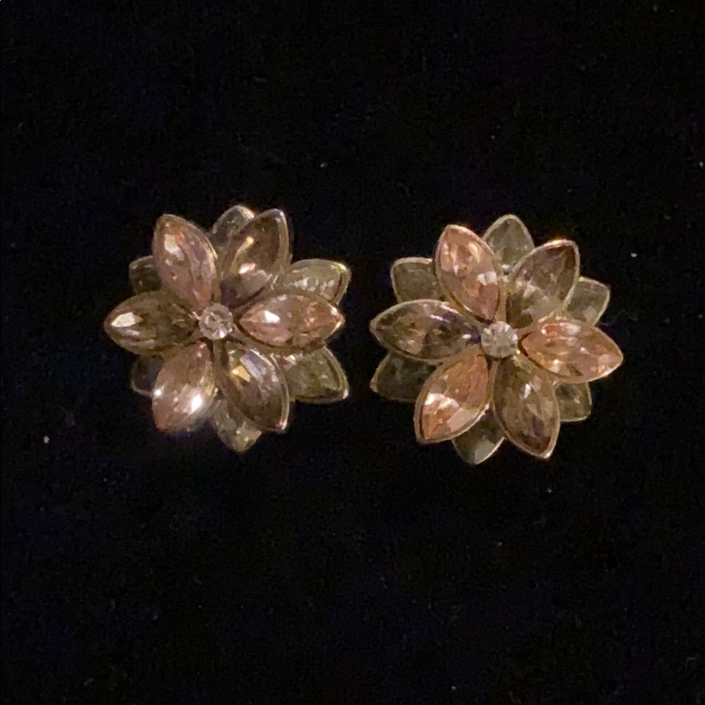 BaubleBar Brown champagne floral earrings